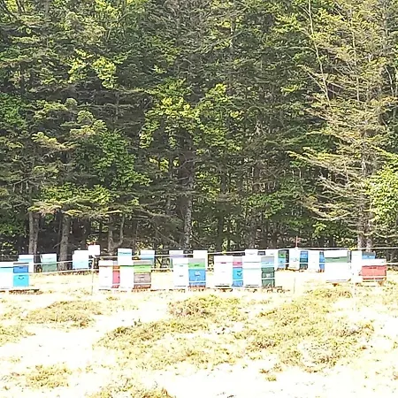 Apartamento Rue De La Cascade 64440